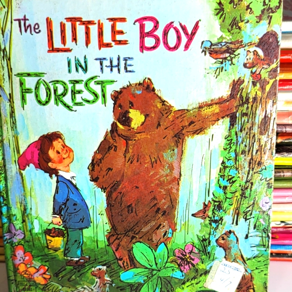The Little Boy In the Forest